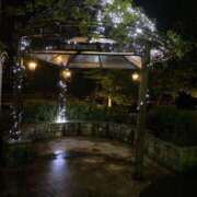 ヒメ日記 2026/03/26 07:16 投稿 花依梨／かいり 大宮人妻セレブリティ（ユメオト）