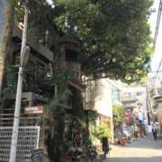 花依梨／かいり 出勤予定✨ 大宮人妻セレブリティ（ユメオト）