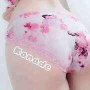 ヒメ日記 2025/10/05 12:27 投稿 かなで clubさくら難波店