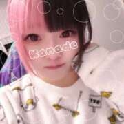 ヒメ日記 2026/01/13 12:57 投稿 かなで clubさくら難波店