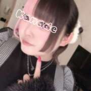 ヒメ日記 2026/01/25 16:47 投稿 かなで clubさくら難波店