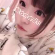 ヒメ日記 2026/02/02 15:07 投稿 かなで clubさくら難波店