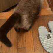 かすみ 向かいますね☺️ 丸妻 厚木店