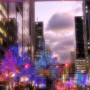 ヒメ日記 2025/12/13 20:51 投稿 あさみ 大阪人妻援護会