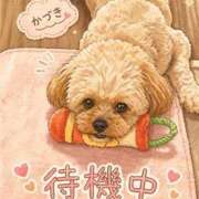 ヒメ日記 2026/04/23 18:08 投稿 かづき 熟女の風俗最終章 八王子店