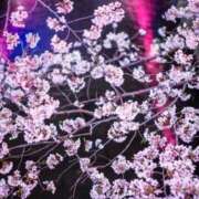 ヒメ日記 2026/03/21 09:13 投稿 かづき 熟女の風俗最終章 国分寺店