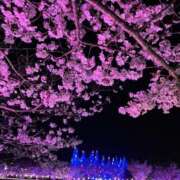 ヒメ日記 2026/03/30 01:53 投稿 かづき 熟女の風俗最終章 国分寺店