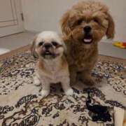 ヒメ日記 2025/09/12 22:14 投稿 かづき 熟女の風俗最終章 立川店