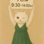 ヒメ日記 2025/11/06 08:37 投稿 ゆかり ニューヨークニューヨーク