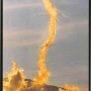 ヒメ日記 2025/11/16 00:40 投稿 ゆかり ニューヨークニューヨーク