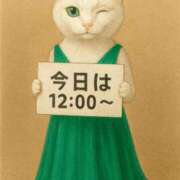 ヒメ日記 2025/11/19 10:04 投稿 ゆかり ニューヨークニューヨーク