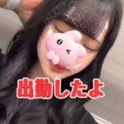 ヒメ日記 2025/09/29 13:27 投稿 さりな 秋葉原鑑賞ガール