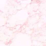 ヒメ日記 2025/10/19 17:07 投稿 うらら 秋葉原鑑賞ガール