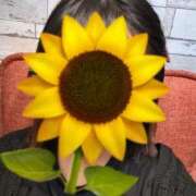 ヒメ日記 2025/09/11 18:57 投稿 める 秋葉原鑑賞ガール