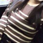 ヒメ日記 2026/03/02 15:17 投稿 みほ 秋葉原鑑賞ガール