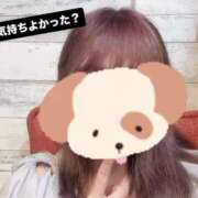 ヒメ日記 2025/09/16 17:57 投稿 もなみ 秋葉原鑑賞ガール