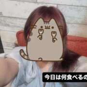 ヒメ日記 2025/09/16 19:27 投稿 もなみ 秋葉原鑑賞ガール