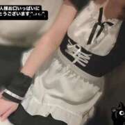 ヒメ日記 2025/09/20 15:27 投稿 もなみ 秋葉原鑑賞ガール