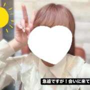 ヒメ日記 2025/09/24 10:07 投稿 もなみ 秋葉原鑑賞ガール