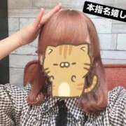 ヒメ日記 2025/10/02 14:37 投稿 もなみ 秋葉原鑑賞ガール