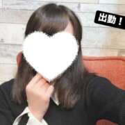 ヒメ日記 2025/10/15 14:37 投稿 もなみ 秋葉原鑑賞ガール