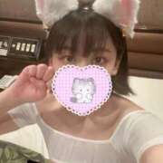 もなみ 12月🐈‍⬛🐾 秋葉原鑑賞ガール