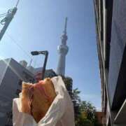 ヒメ日記 2026/02/23 10:17 投稿 せいな 秋葉原鑑賞ガール