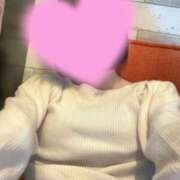 ヒメ日記 2025/11/19 17:27 投稿 かりん 秋葉原鑑賞ガール