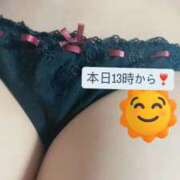 ヒメ日記 2025/09/14 10:37 投稿 おとは 秋葉原鑑賞ガール