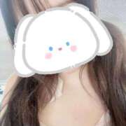 ヒメ日記 2025/10/21 18:28 投稿 りえ 秋葉原鑑賞ガール