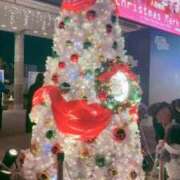 ヒメ日記 2025/11/20 12:18 投稿 にじいろ イクイクサークル鶯谷店