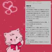 ヒメ日記 2025/09/25 18:25 投稿 ほたる 秋葉原鑑賞ガール