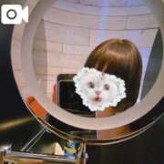 ヒメ日記 2025/10/11 11:17 投稿 ほたる 秋葉原鑑賞ガール