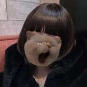 ヒメ日記 2025/12/03 11:07 投稿 ほたる 秋葉原鑑賞ガール