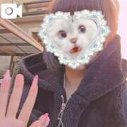 ヒメ日記 2025/12/10 09:47 投稿 ほたる 秋葉原鑑賞ガール