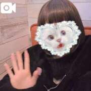 ヒメ日記 2025/12/16 11:17 投稿 ほたる 秋葉原鑑賞ガール