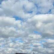 ヒメ日記 2025/12/16 11:28 投稿 ほたる 秋葉原鑑賞ガール