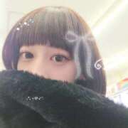 ヒメ日記 2025/12/25 23:17 投稿 ほたる 秋葉原鑑賞ガール