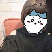 ヒメ日記 2025/12/29 11:07 投稿 ほたる 秋葉原鑑賞ガール