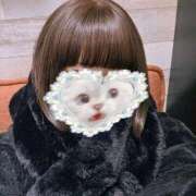 ヒメ日記 2026/02/06 11:17 投稿 ほたる 秋葉原鑑賞ガール