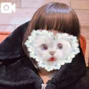 ヒメ日記 2026/02/15 12:54 投稿 ほたる 秋葉原鑑賞ガール