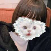 ヒメ日記 2026/03/18 16:37 投稿 ほたる 秋葉原鑑賞ガール