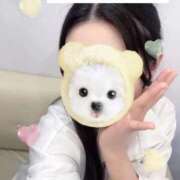 ヒメ日記 2025/10/07 12:57 投稿 きり 秋葉原鑑賞ガール