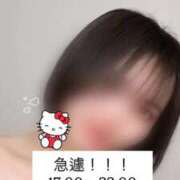 ヒメ日記 2025/09/29 11:37 投稿 まなみ 秋葉原鑑賞ガール