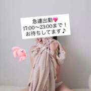 ヒメ日記 2025/11/11 17:33 投稿 まなみ 秋葉原鑑賞ガール