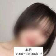 ヒメ日記 2025/11/28 19:57 投稿 まなみ 秋葉原鑑賞ガール