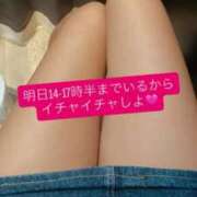 きき 明日いるよぉ〜🩷 秋葉原鑑賞ガール