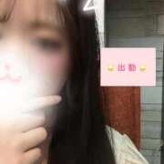 ヒメ日記 2025/09/19 17:27 投稿 しおり 秋葉原鑑賞ガール