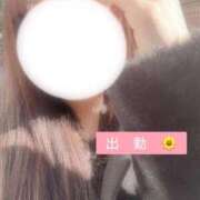 しおり よろしくお願いします🪽 秋葉原鑑賞ガール