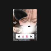 しおり どようび！ 秋葉原鑑賞ガール